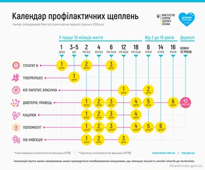 Сверьтесь с графиком вакцинации детей (Календарь прививок детей) -  МедЭксперт