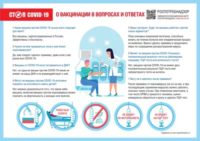 Кравцов прокомментировал идею вакцинации детей от COVID на базе школ - РИА  Новости, 24.12.2021