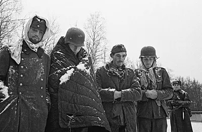 Валенки Кукморские валенки - купить с доставкой по выгодным ценам в  интернет-магазине OZON (1248542198)