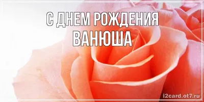 С днём рождения наш любимый и жизнерадостный сыночек Ванюша❤️ С тобой мы  первый раз стали родителями, это самое лучшее чувство на земле… | Instagram