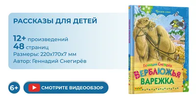 07821122-40 Варежки детские однослойные 4-6 лет для детей Котофей оптом в  интернет-магазине riverak.ru. Артикул: