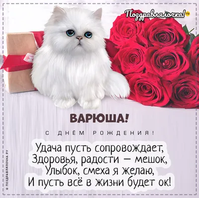 Варя!!! С ДНЁМ РОЖДЕНИЯ!!! — 16 ответов | форум Babyblog