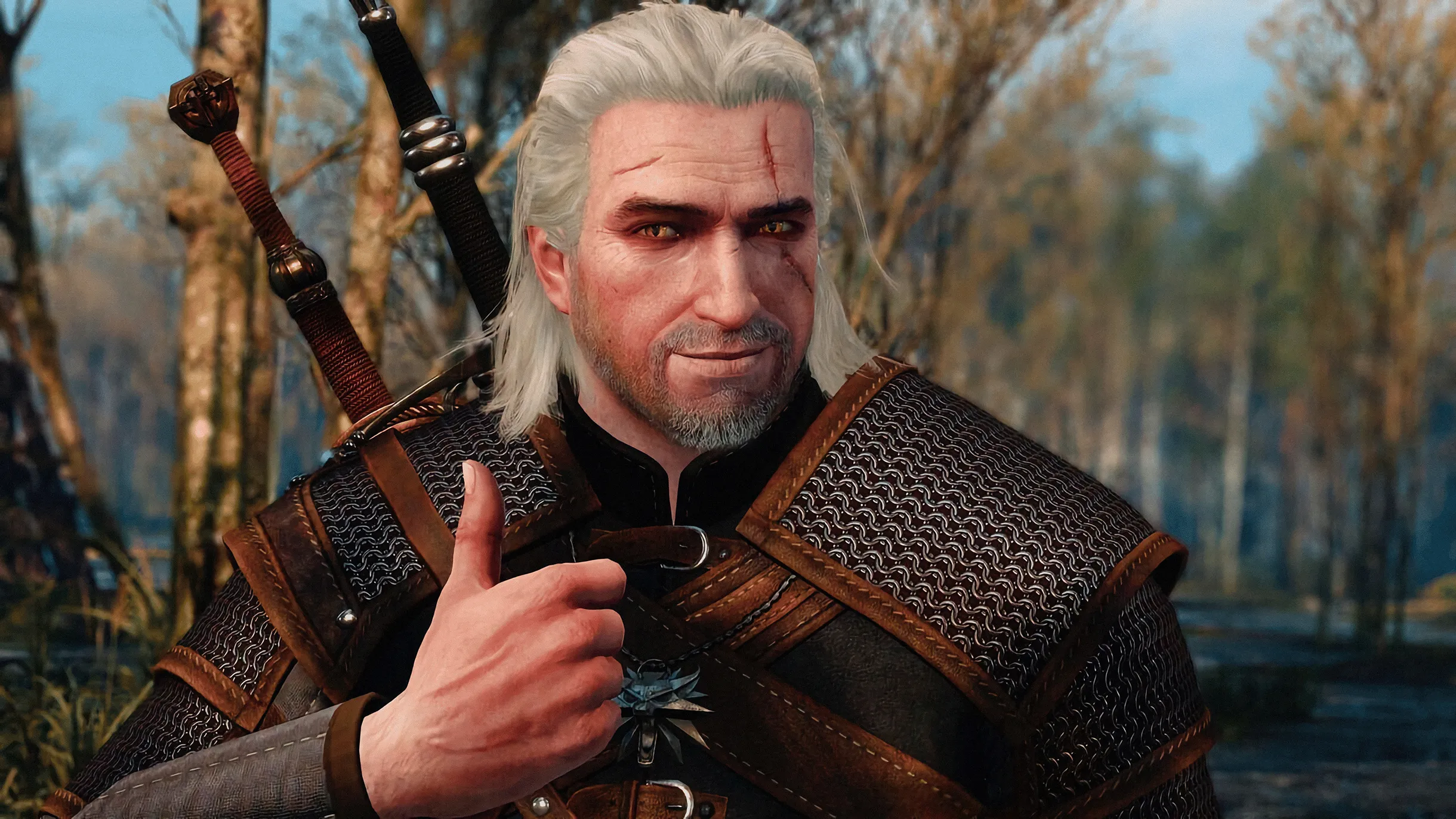 Steam witcher сохранения фото 25