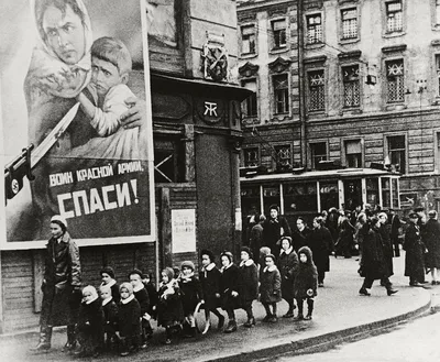 Книга Великая Отечественная война. 1941-1945. В фотографиях и  кинодокументах. Том 5. 1945 год (-) 1980 г. Артикул: 11147955 купить