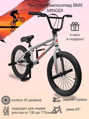 Велосипед BMX TECH TEAM Mack (2022) купить в СПб