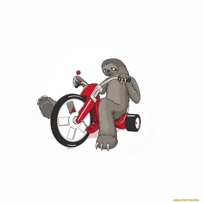 Знак Велосипед Нарисованы На Улице. Фотография, картинки, изображения и  сток-фотография без роялти. Image 52944717