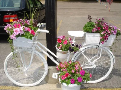Велосипед, как декор сада - Agro-Market
