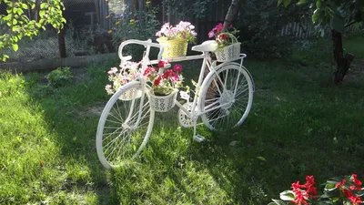 Клумба - велосипед, садовая клумба | Садовая клумба, Клумбы, Петунии