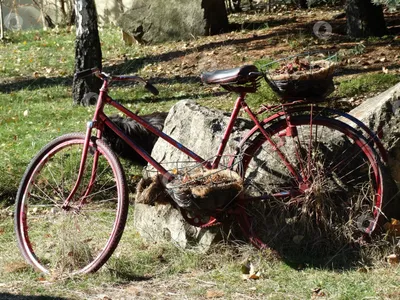 Старый велосипед на даче идеи с цветами (63 фото) - красивые картинки и HD  фото
