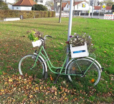 Велосипед клумба для цветов: 1 500 грн. - Сад / огород Запорожье на Olx