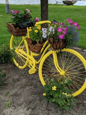 Велосипед на даче фото фотографии