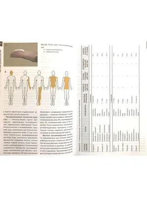 Неприкасаемый: Можно ли садиться в общественном туалете — Wonderzine