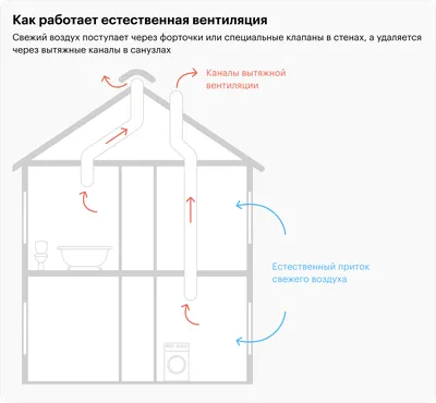 Вентиляция погреба | Ложкин | Дзен