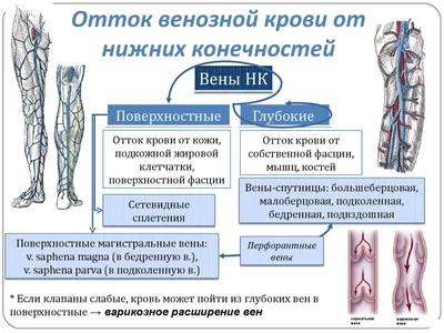 Опыт реканализации хронических окклюзий подключичных вен у пациентов,  находящихся на программном гемодиализе – тема научной статьи по клинической  медицине читайте бесплатно текст научно-исследовательской работы в  электронной библиотеке КиберЛенинка