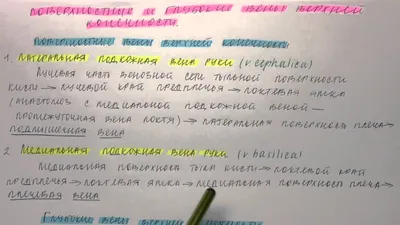 Презентация по анатомии и физиологии человека на тему \"Система Нижней Полой  Вены\"