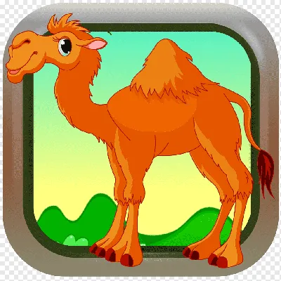 Dromedary Baby Gnome (игра для детей) Животное позвоночное, верблюды,  разное, млекопитающее, другие png | PNGWing