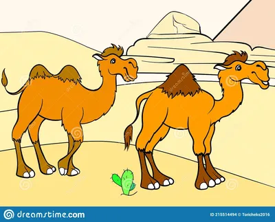 Cute camel cartoon vector illustration | Animal illustration kids, Cute  elephant cartoon, Camels funny