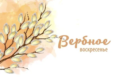 Вербное воскресенье: Как провести праздник, что надо делать с вербой, а что  делать нельзя - Российская газета