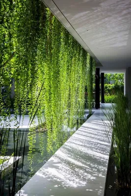 Дизайн участка — 20 интересных вариантов вертикального озеленения —  Roomble.com