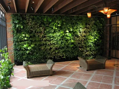 Озеленение дачного участка: фото и основные рекомендации по созданию  живописного сада