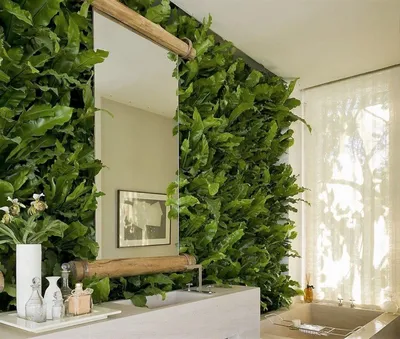 Вертикальное озеленение на дачном участке - фото лучших идей от дизайнеров