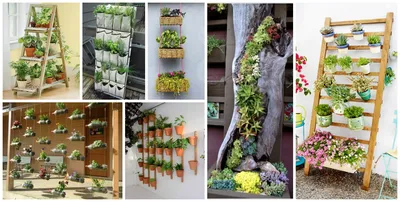 Вертикальное озеленение дачи: 10 классных идей — INMYROOM