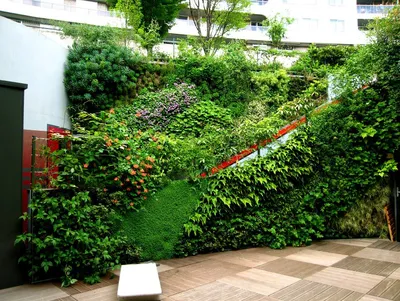 Вертикальное озеленение в ландшафтном дизайне участка
