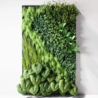 Фото Вертикального Озеленения как способ создать свой собственный оазис в городской квартире