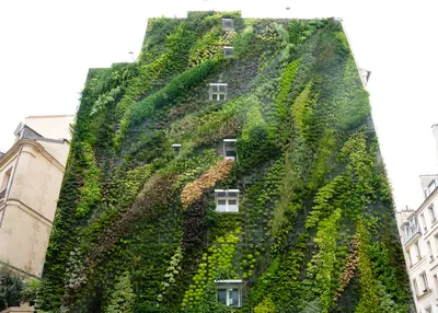 Идеи для дома: Как использовать Вертикальное Озеленение
