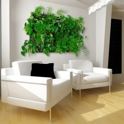 Фото Вертикального Озеленения как способ создать свой собственный маленький сад в квартире