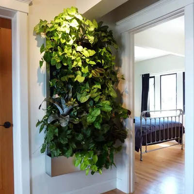 Фото Вертикального Озеленения как способ создать свой собственный зеленый уголок в доме
