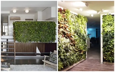 Фото идеального решения для оживления стен: вертикальное озеленение