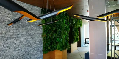 Идеальное решение для маленьких квартир: фото вертикального озеленения