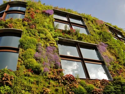 Вертикальное озеленение на фото: создайте свой уголок природы в доме