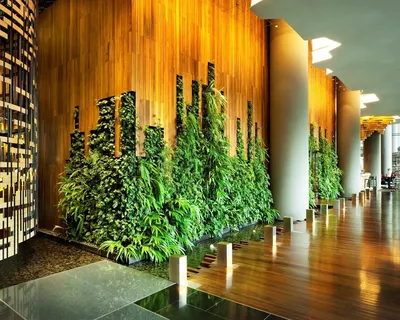 Фото вертикального озеленения: идеальное решение для любого интерьера