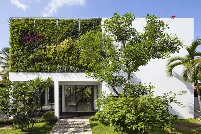 Фото вертикального озеленения: как сделать дом более приятным для глаз