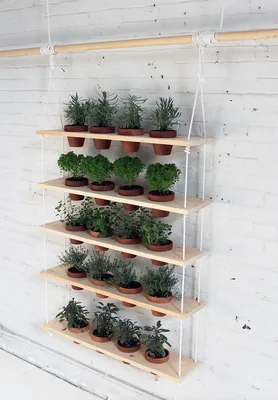 Вертикальное озеленение на фото: создайте зеленый уголок в любом помещении