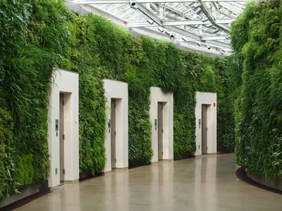 Сад на стене: Как создать Вертикальное Озеленение на балконе