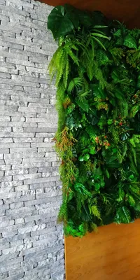 Природа в доме: фото вертикального озеленения