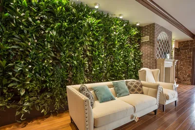 Живые занавески: Картинка Вертикального Озеленения в гостиной