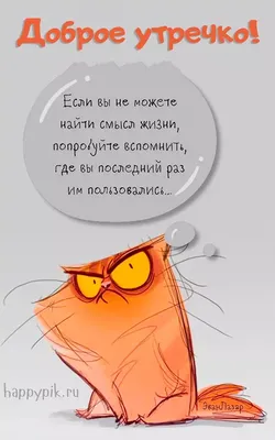 Прикольные картинки \"Доброе утро\" 👍 😄 (285 шт.) в 2023 г | Веселые мысли,  Доброе утро, Цитаты