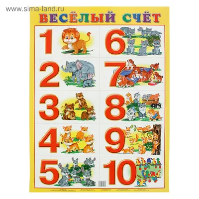 Плакат \"Веселый счет\" (850548) - Купить по цене от 25.14 руб. | Интернет  магазин SIMA-LAND.RU