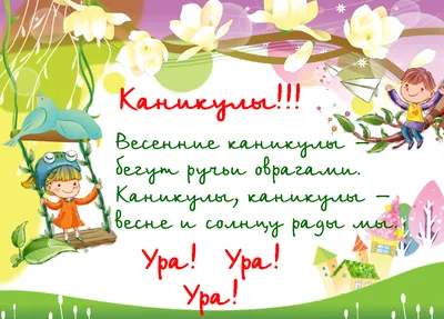 ВЕСЁЛЫЕ КАНИКУЛЫ ☀ ЕНОТ ☀ HAPPY HOLIDAYS ☀ RACCOON - YouTube