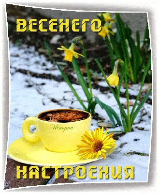 Весеннего настроения | Plants, Garden, Art