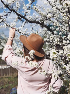 Красивые весенние цветы на фоне Hd красивый весна весна Весенний тур  Открытая весна Весенние Фон Обои Изображение для бесплатной загрузки -  Pngtree