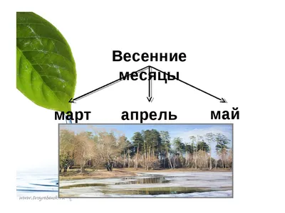 ВЕСНА! 🌱Рассказ про ВЕСНУ для детей. Русская весна. Развивающее видео для  детей - YouTube