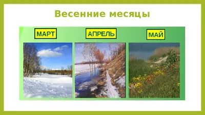 Лэпбук по теме «Весна» (34 фото). Воспитателям детских садов, школьным  учителям и педагогам - Маам.ру