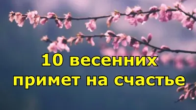 Что мы знаем о весне?)