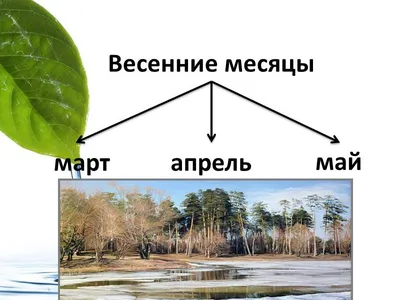 Урок окружающего мира по теме \"Весенние месяцы\"