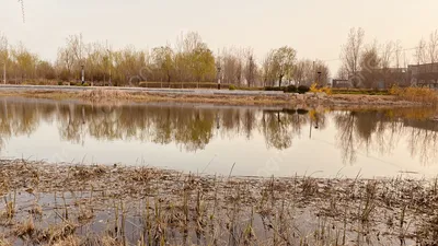 Весенний пейзаж, природа,розовые …» — создано в Шедевруме